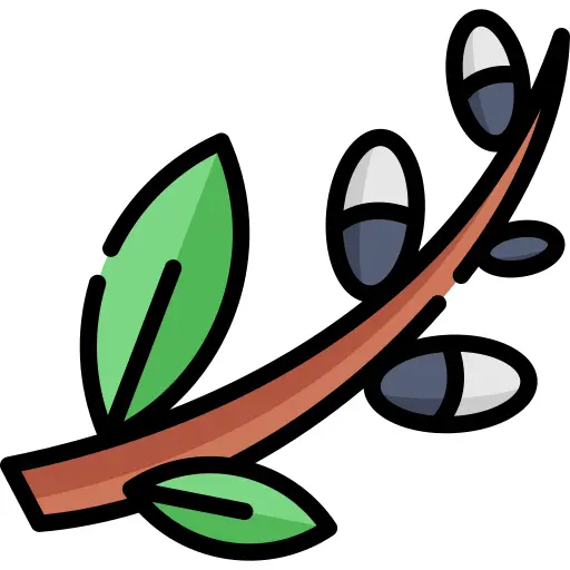 Sprout