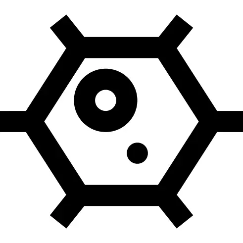 Bacteria