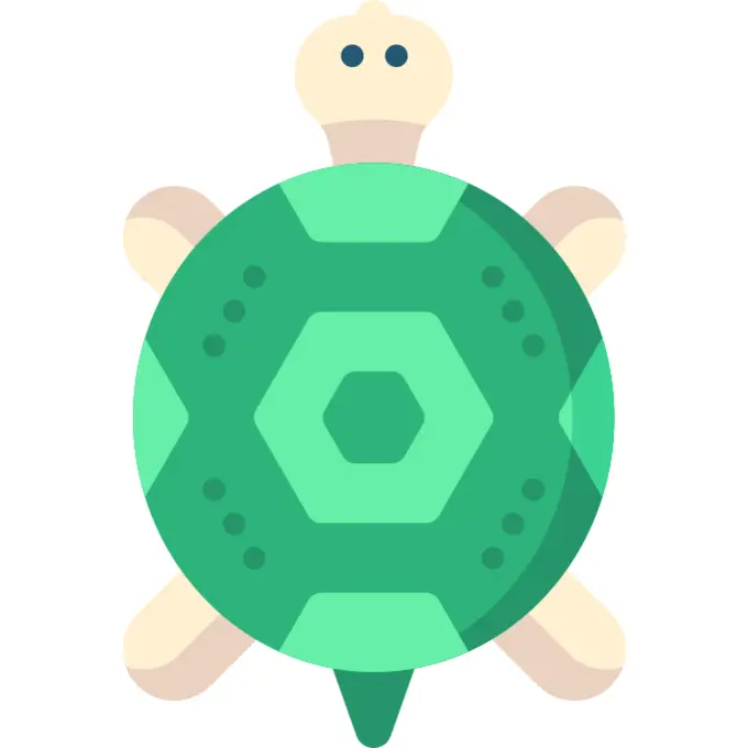 Turtle