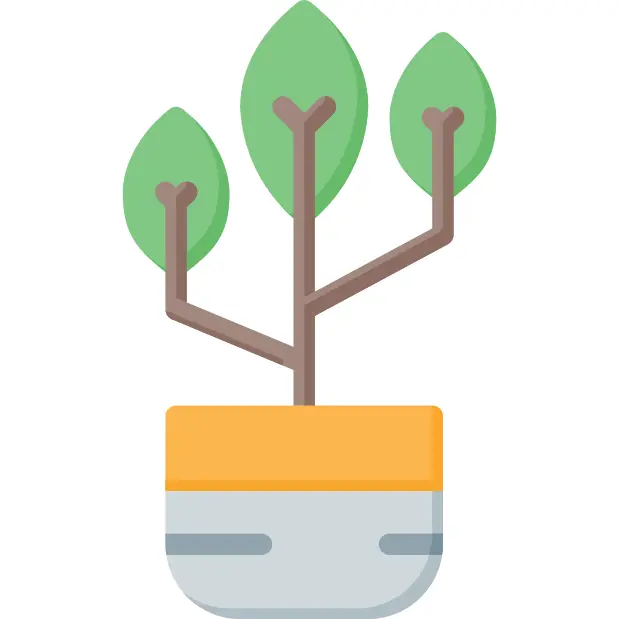 Plant