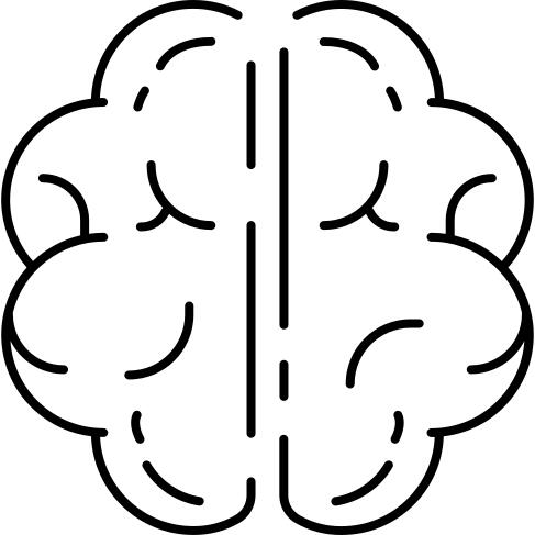 Brain