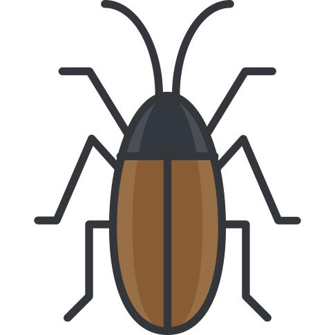 Cockroach