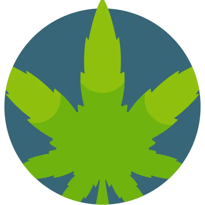 Cannabis