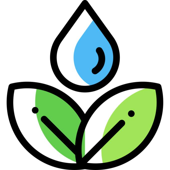 Asana