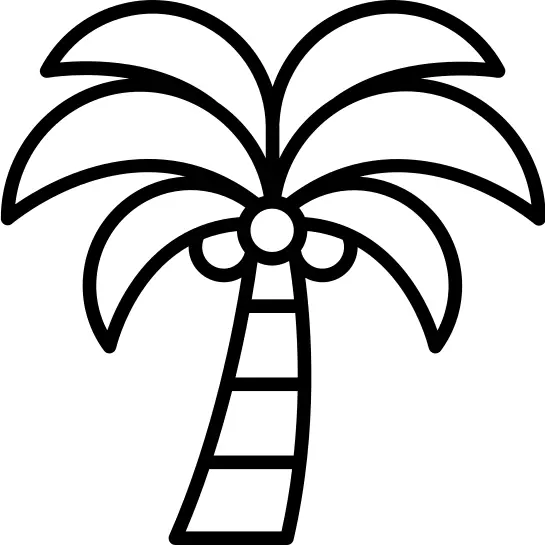 Palm tree