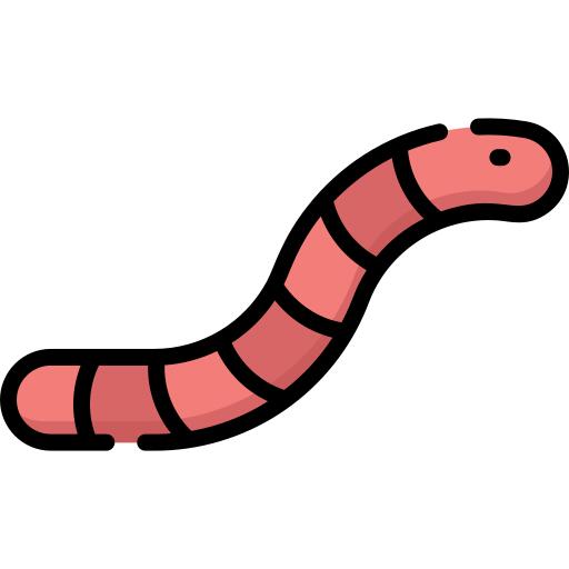 Worm