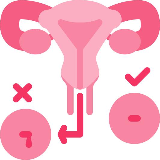 Uterus