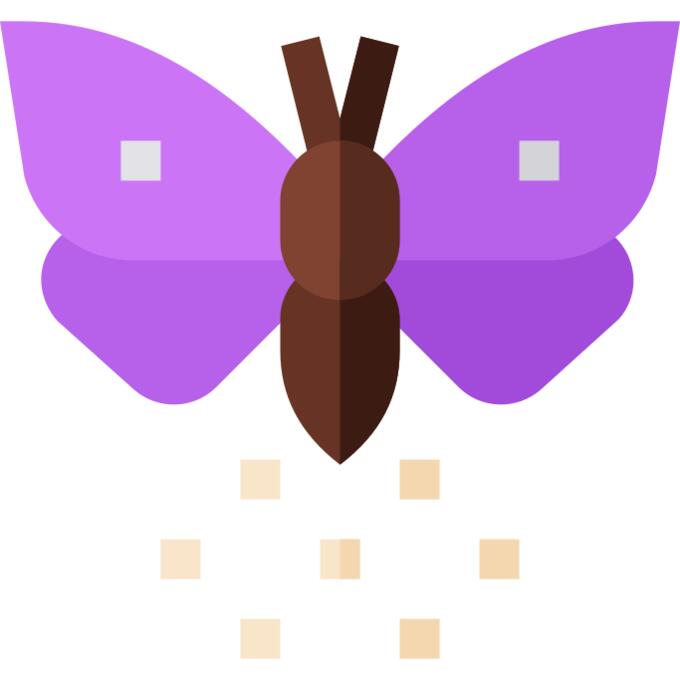 飞蛾
