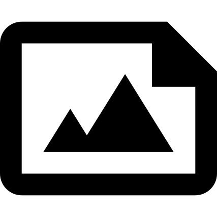 文件