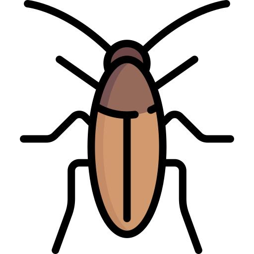 Cockroach