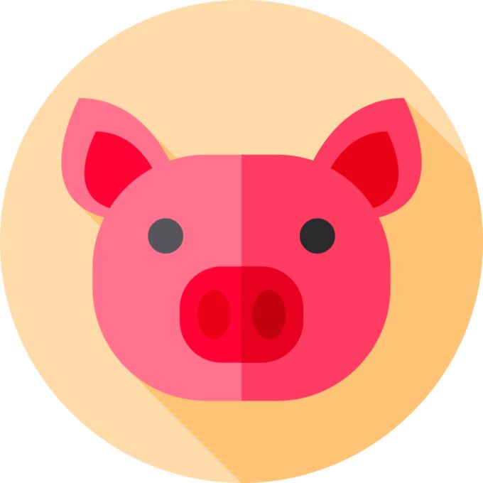 Pig