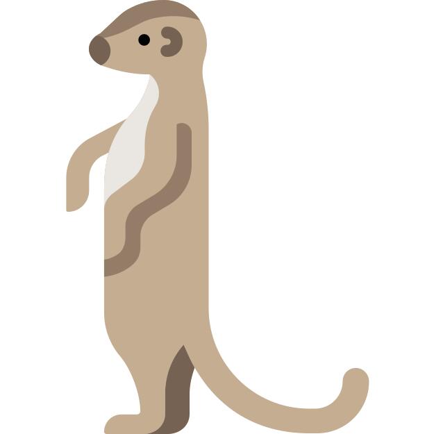 Meerkat