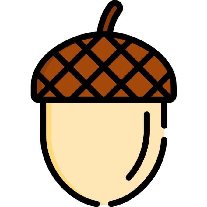 橡子