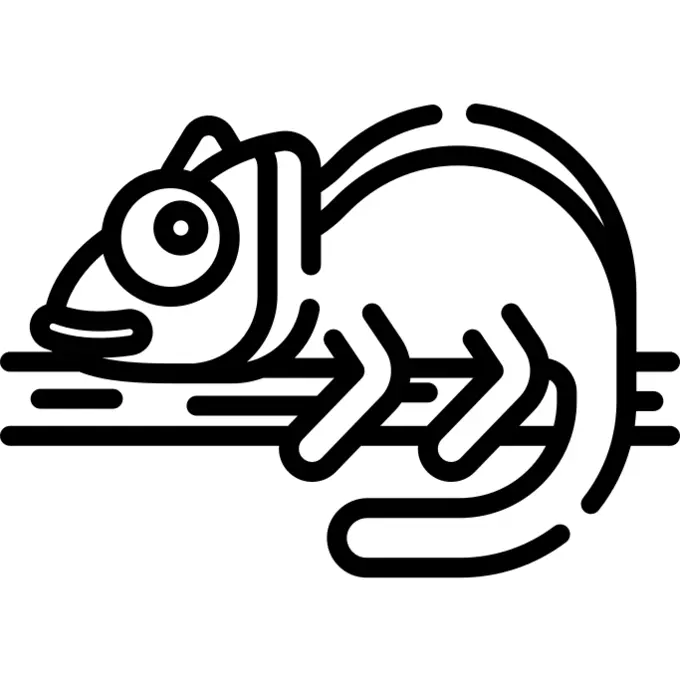 Chameleon