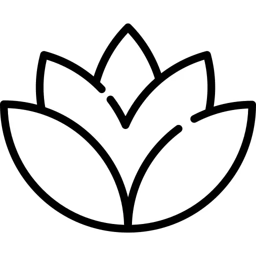 莲花