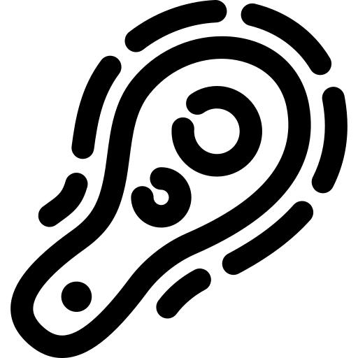 菌