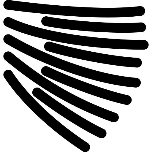 Trapezius