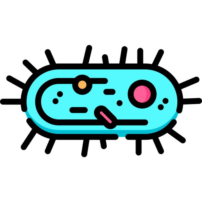 Cells