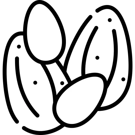 种子