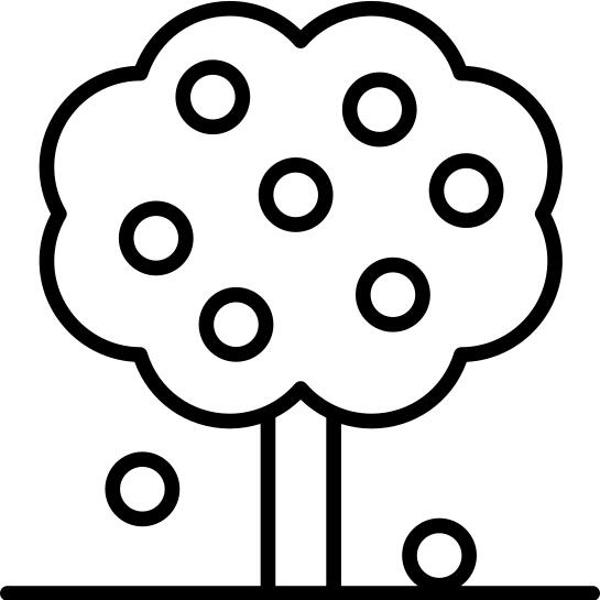 Fruit tree