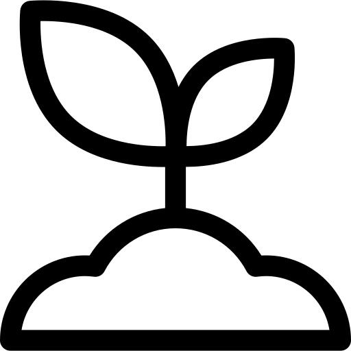 发芽