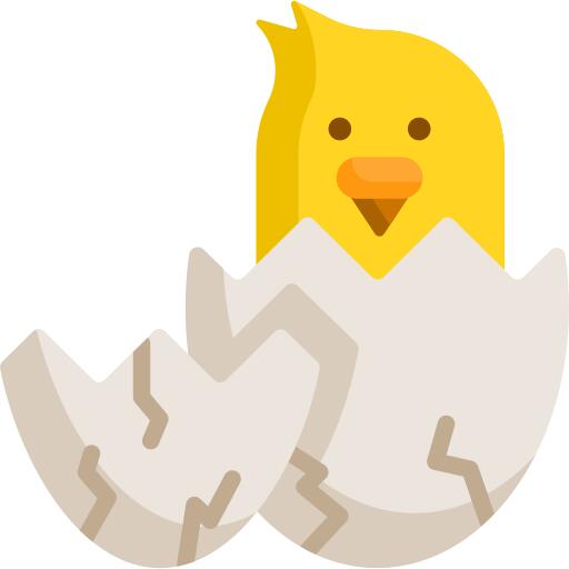 小鸡