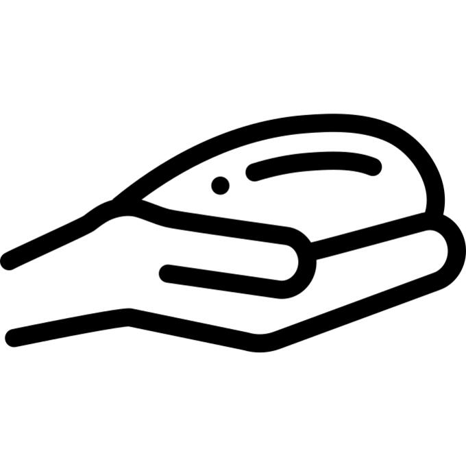 手