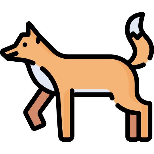 Jackal