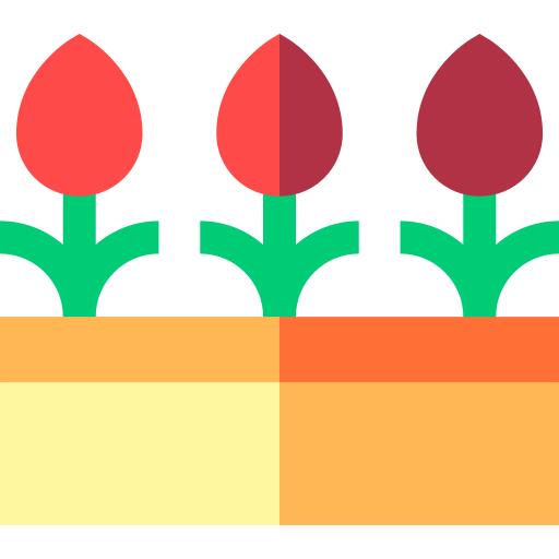 花卉