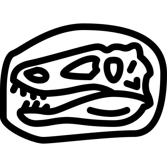 化石