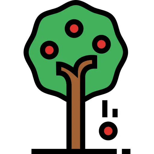 Fruit tree