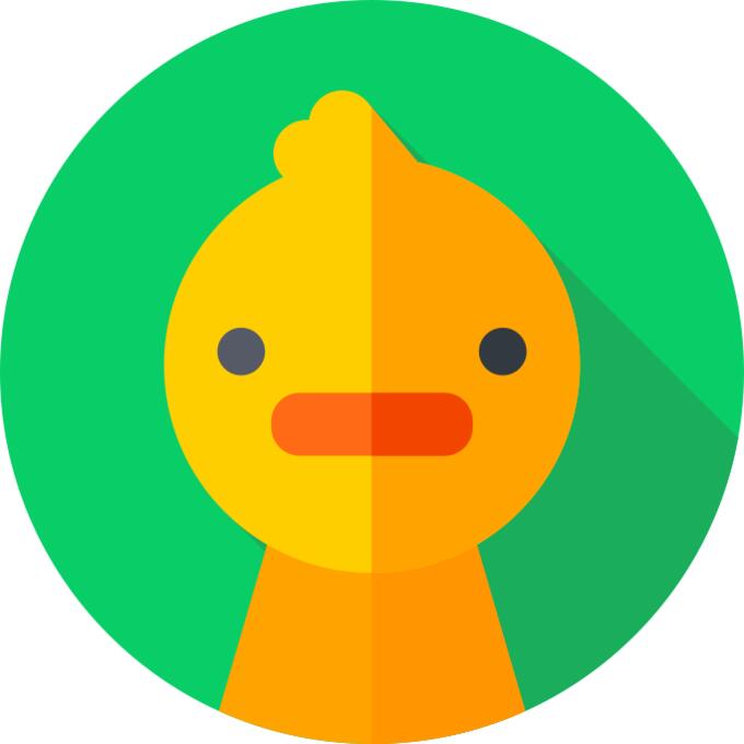 鸡