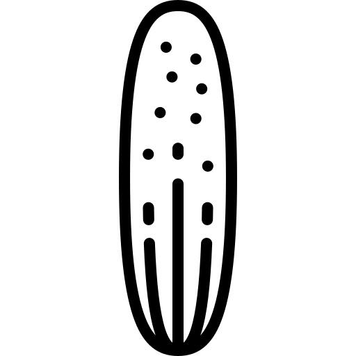 Cucumber