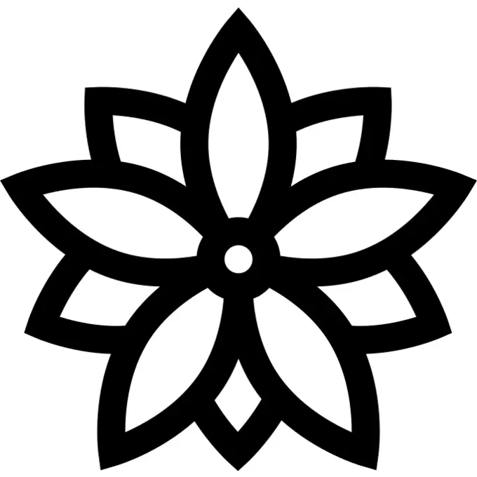Poinsettia