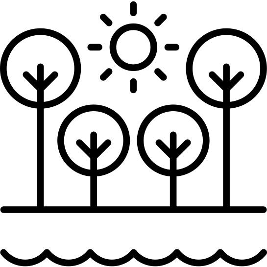 Trees