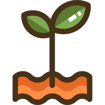 Green sprout