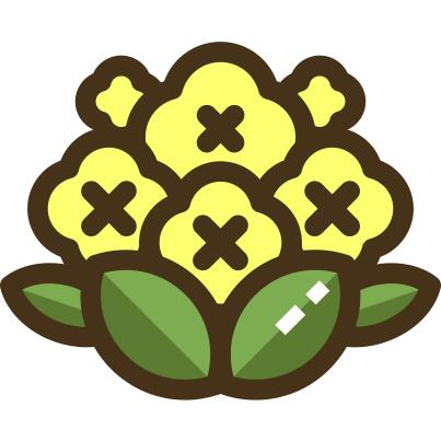 Cauliflower