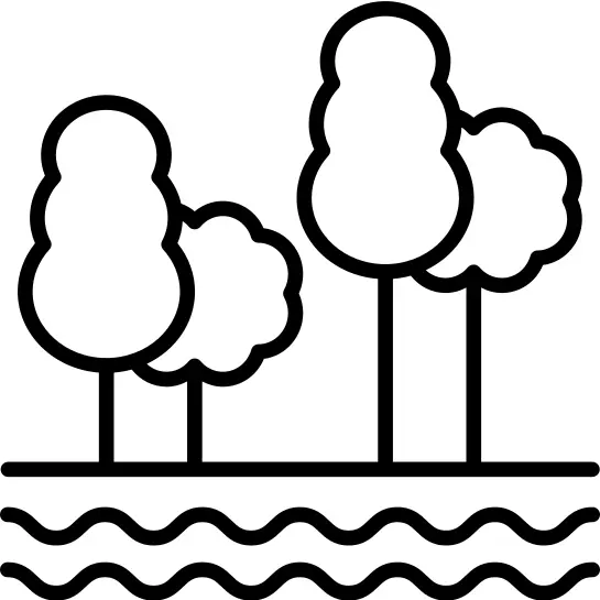 Woods