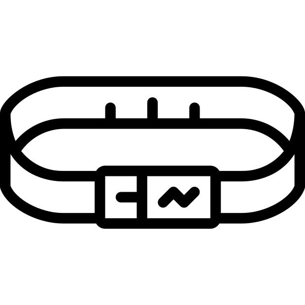 Smart belt