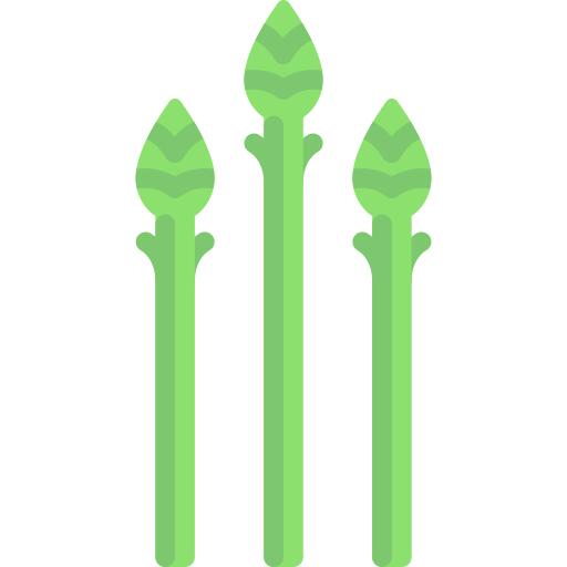 Asparagus