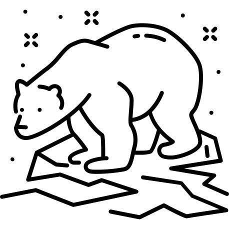 Polar bear
