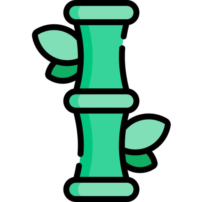 Bamboo