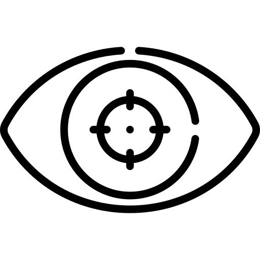 Vision