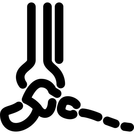 Foot