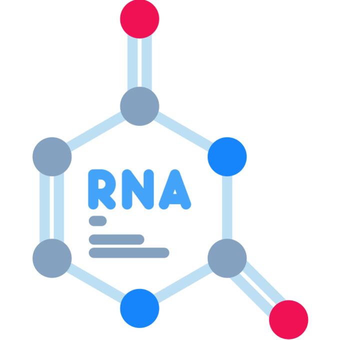 RNA