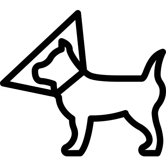 Pet