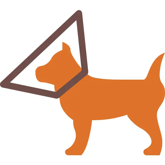 Pet