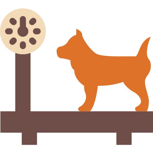 Pet