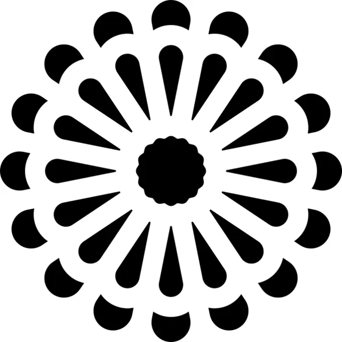 翠菊