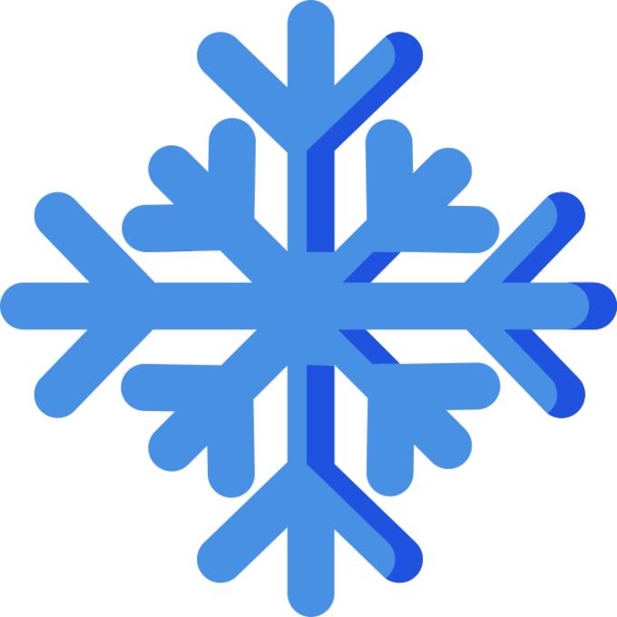 Snow flake